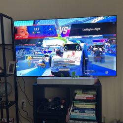 LGC2 OLED 55”