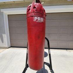 EVERLAST DUAL STATION PUNCHING BAG SPEED BAG,  PRO BOXING EQUIPMENT HEAVY BAG.  BOXING BAG, MMA,MUAY THAI, TAEKWONDO,KICK BOXING