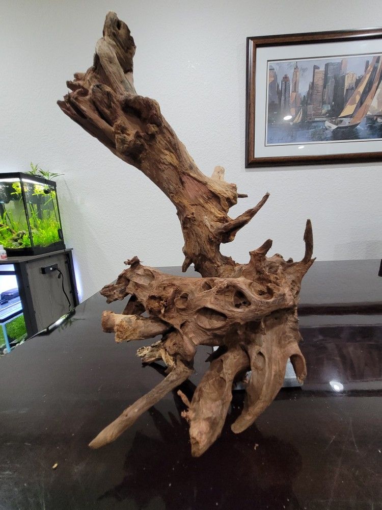 Very Large Aquarium Fish Reptile Driftwood