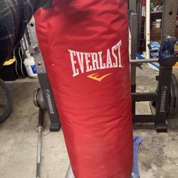 Punching Bag 55LBS