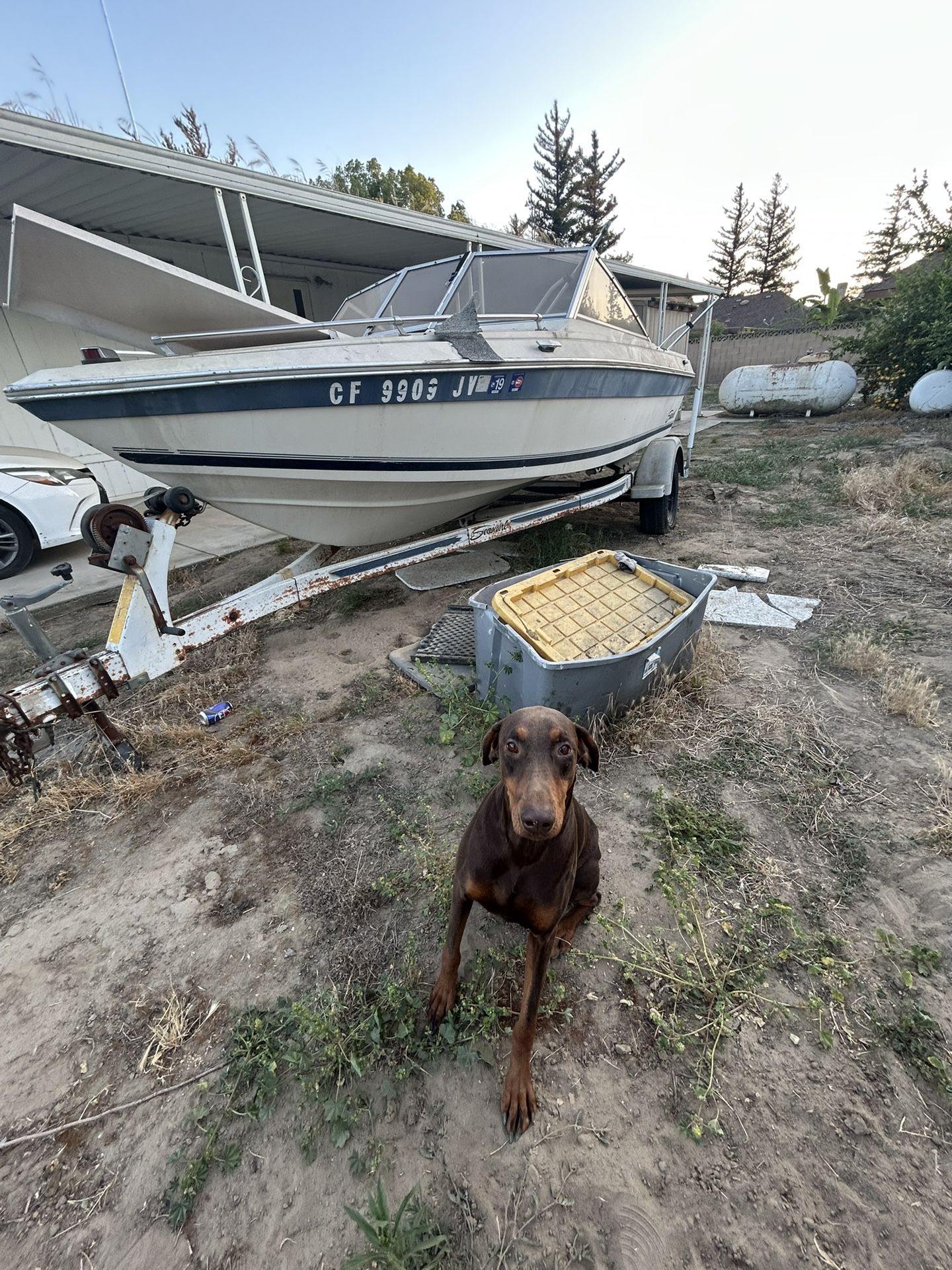 Boat