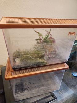 a 20 gallon tank and four 5 gallon critter keepers Thumbnail