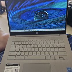 Hp Chromebook 