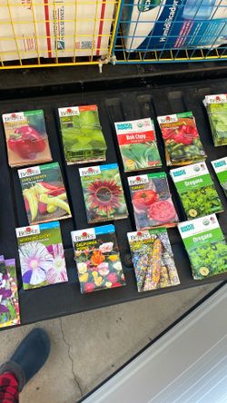 Seeds