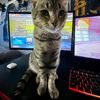 Sebastian