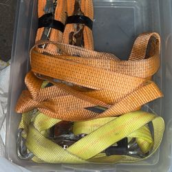 4 Straps 2 Large 2 Mini