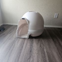 Kitty Box 