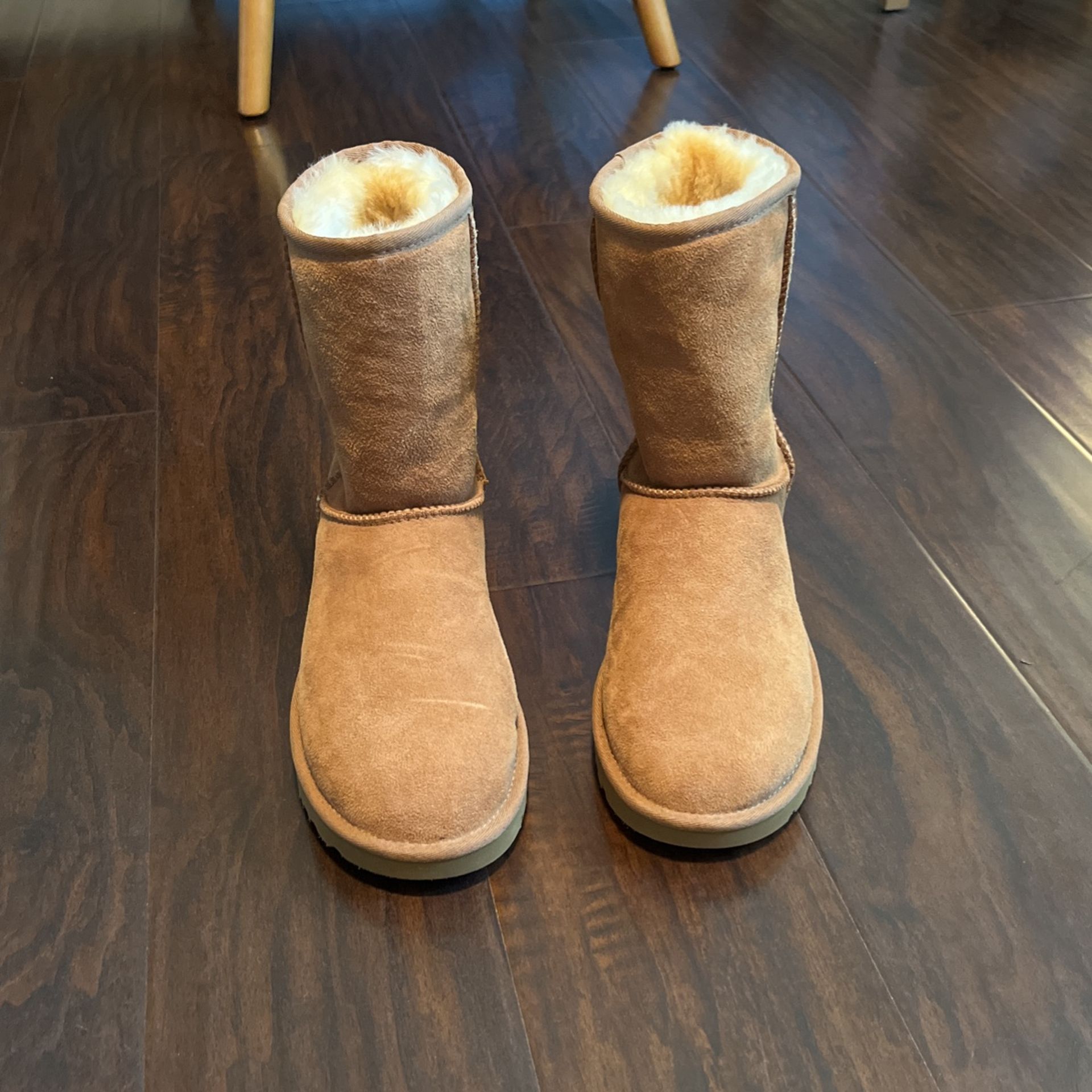 Brand New Uggs