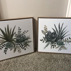  New Beautiful  Succulent Picture  Decor Set