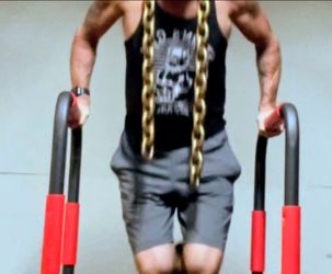 Dip bars.  Chains not included.