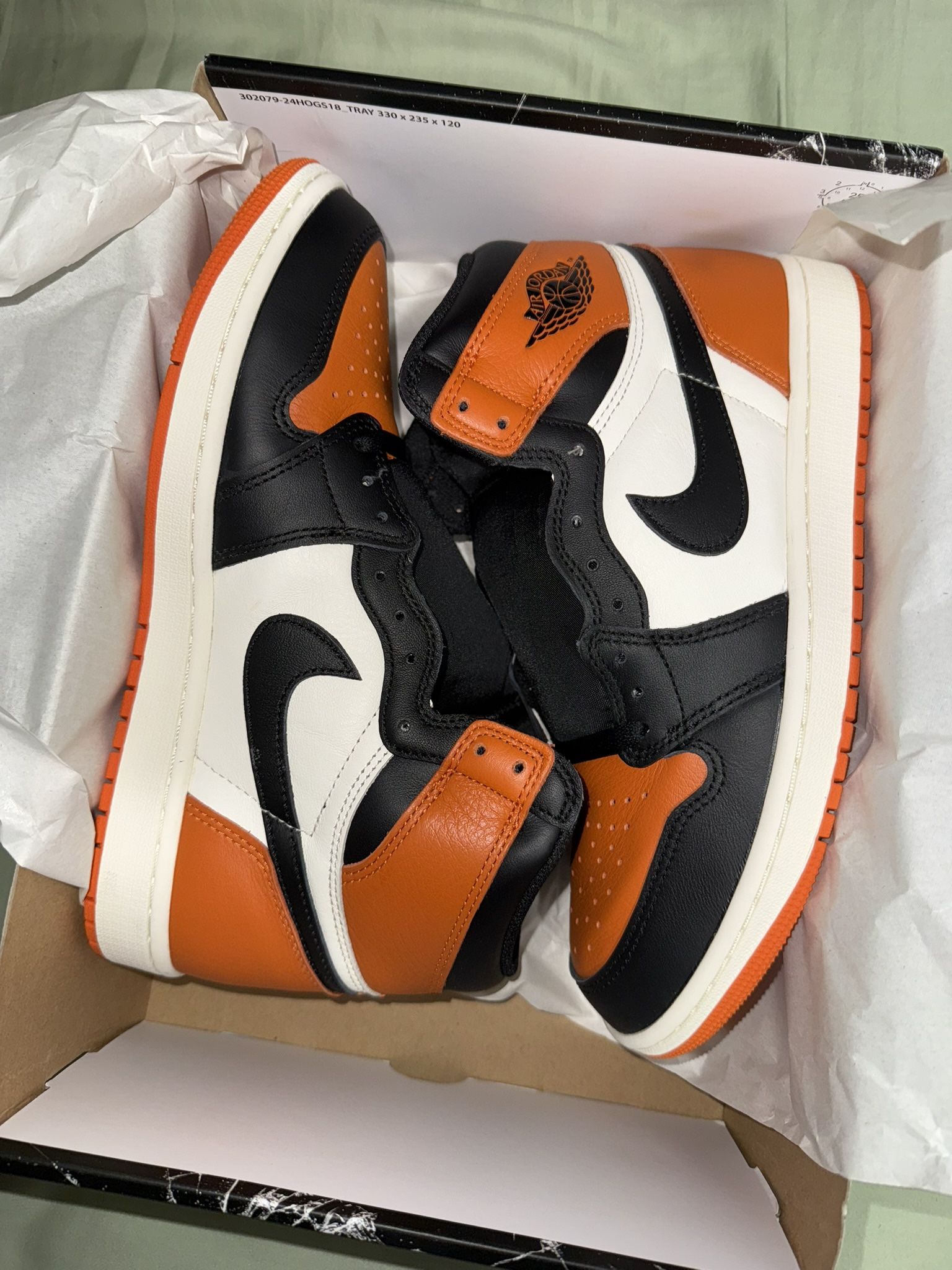 Jordan 1 SB