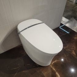 Smart Toilet