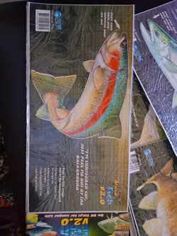 Fishing Decals 