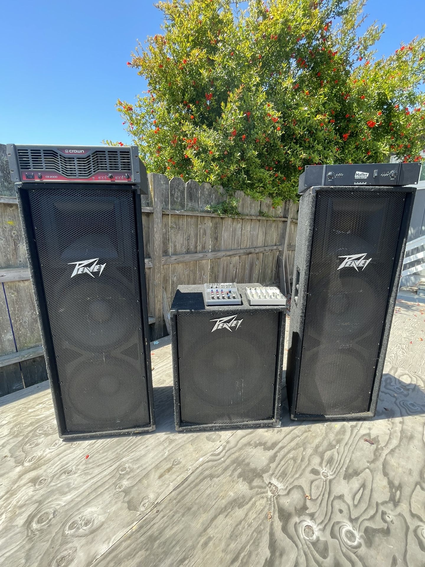 Peavey Speakers   $1,000 OBO