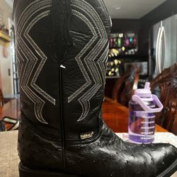 Ostrich (Avestruz)Western Boots Oval  Color Black 