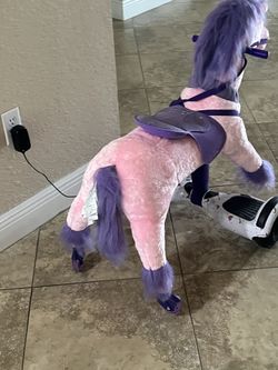 Horse Power Pony