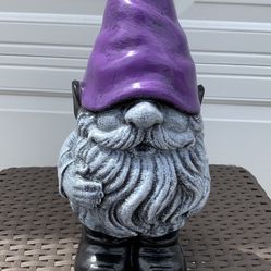 The Purple  Gnome 