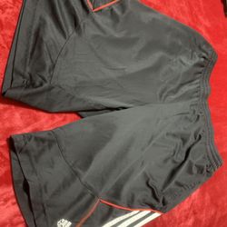 Mens Shorts