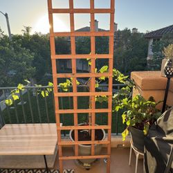 hanging light planter Palma Planter LED Pendant Light