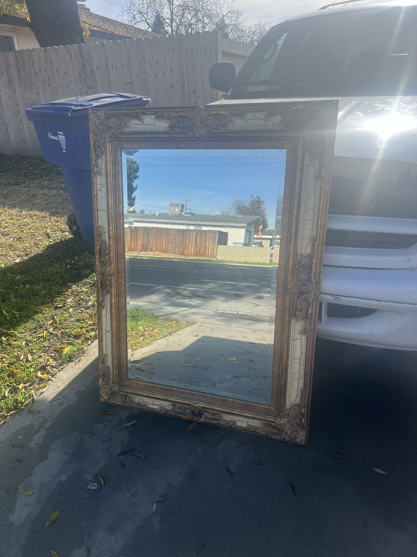 Big Beautiful Mirror