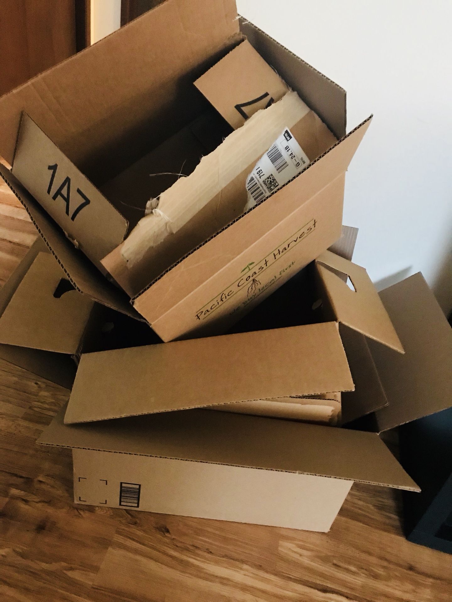 Free Moving Boxes