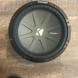 12” Subwoofer