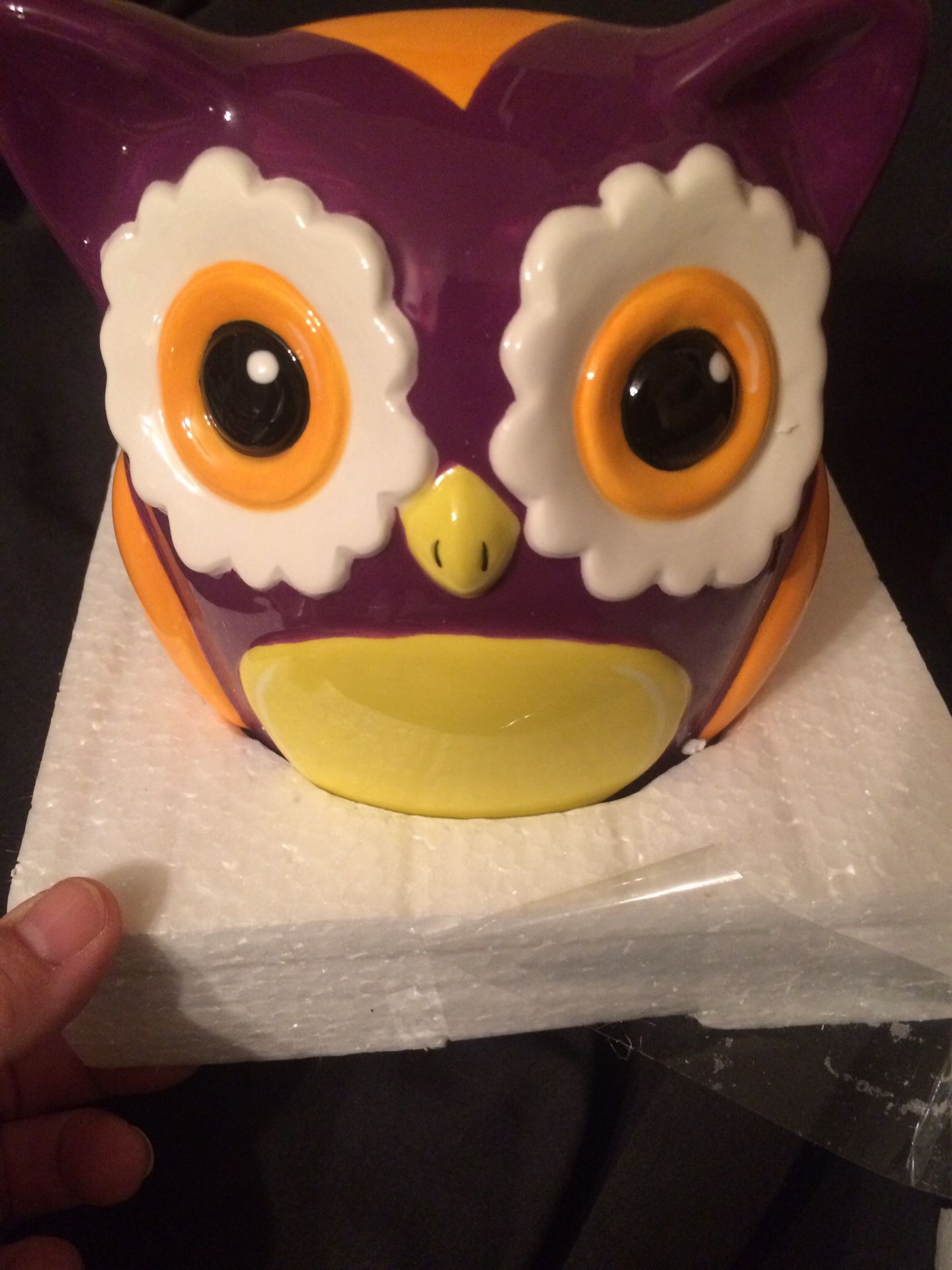 Owl Bank-Brand New