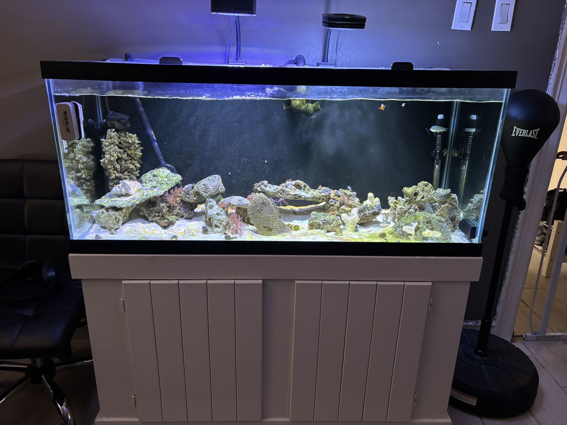 75 Gallon Aquarium 