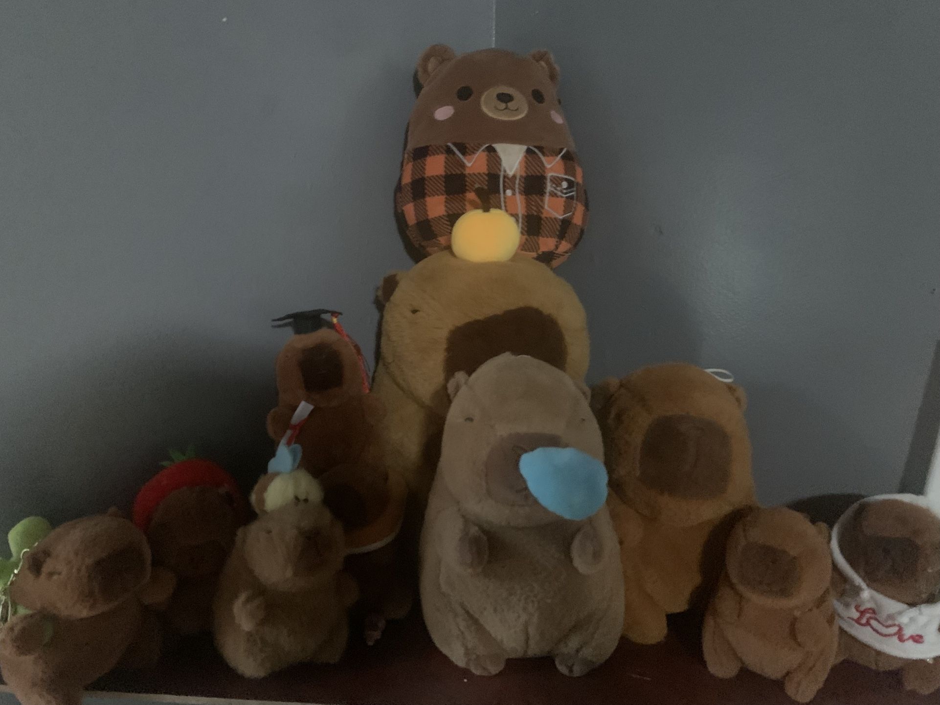 Capybara Plushies 