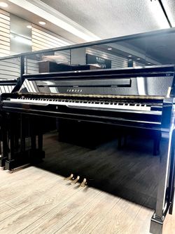 2010 Yamaha U1 Upright Piano Free delivery and tuning