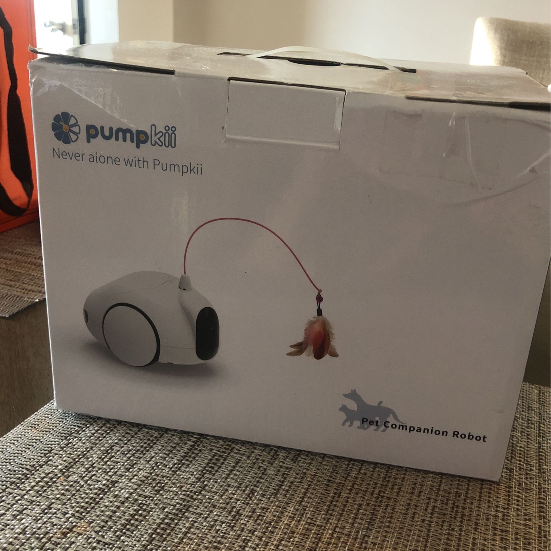 Pumpkii Pet Companion Robot