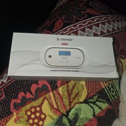 Carbon Monoxide Alarm 
