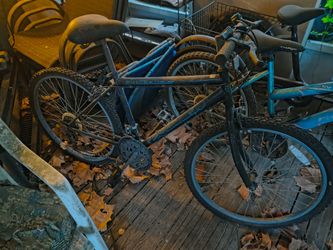 3 bicycles for sale $25 each