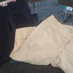 Anne Taylor Dresses, Shorts Skirts And Jeans 