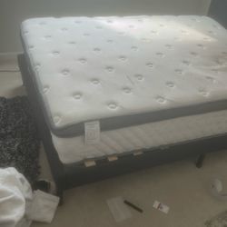 Free Queen Size Bed  Mattress And Frame 
