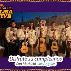 Arpa Vihuela De Mariachi 