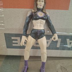 WWE Wrestling 