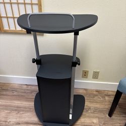 Techni Mobili Sit-to-Stand Rolling Adjustable Height Laptop Cart with Storage, Graphite, 22 x 16 x 46