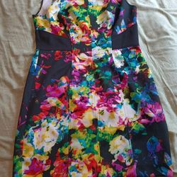 Beautiful American Living Dress Size 16
