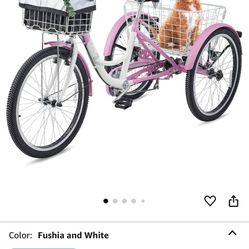 Bicycle/tricycle