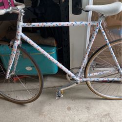 Fixie bike