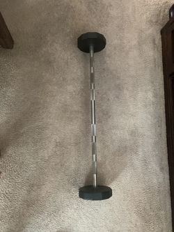 Straight Curl Bar 40lbs
