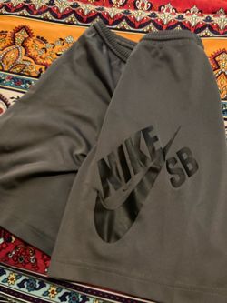 Nike SB Gray Athletic Shorts