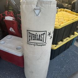 Everlast Punching Bag