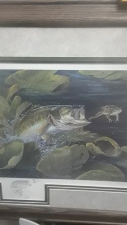 "Terry Doughtry's" BASS+ FROG