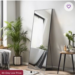 Koudia Metal Framed Standing Mirror