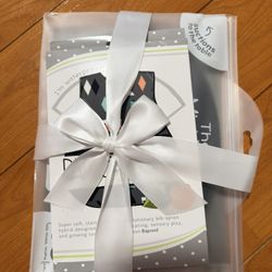 Baby Placemat/Bib Set