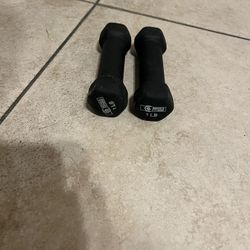 1LB Weights