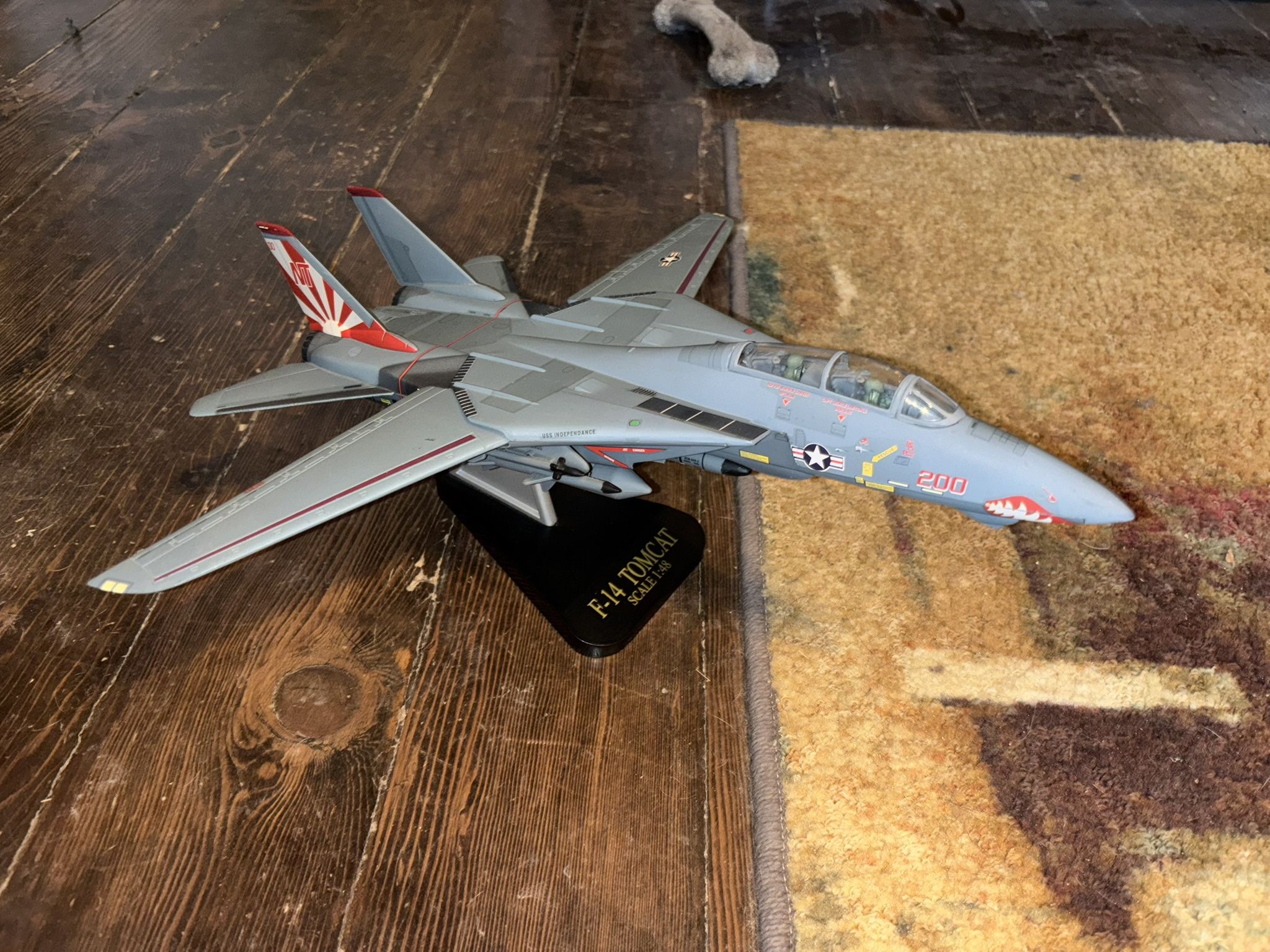 Die Cast F-14 Tomcat Display