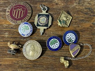Salinas California Pins